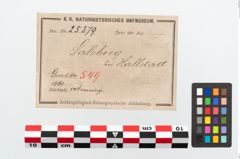Etikett zu Bronzemelonenarmreif (NHMW-PRAE-025379)